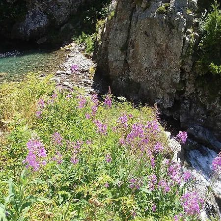 Campsite Camping Le Chene 3*