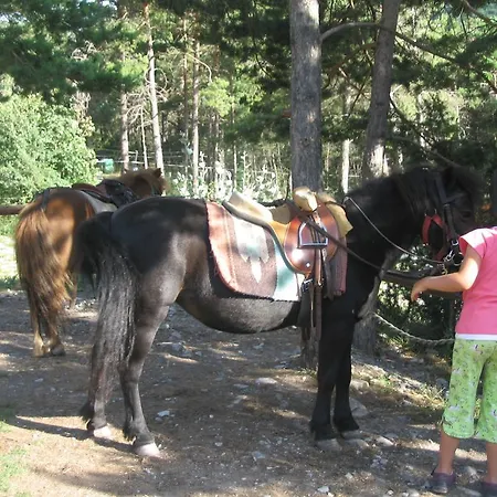 Campsite Camping Le Chene